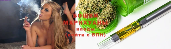 гидра Осинники