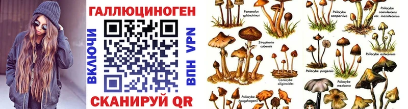 KRAKEN онион  Яхрома  Псилоцибиновые грибы GOLDEN TEACHER 